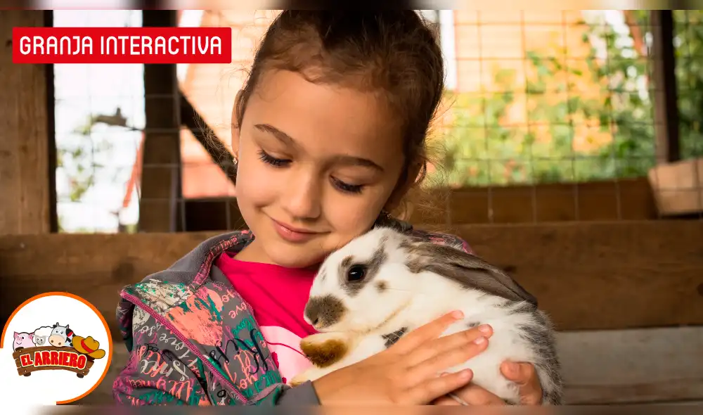 Un buen fin de semana de ofertas para visitar la Granja Interactiva El Arriero desde S/ 39