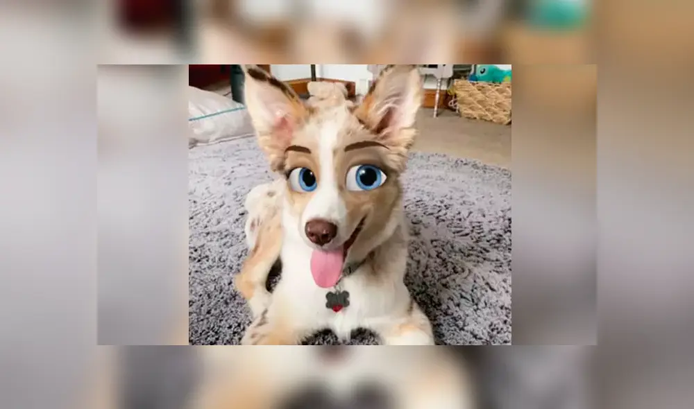 Convierte tu perro en un personaje de Disney gracias a Snapchat. Foto: Ladbible.