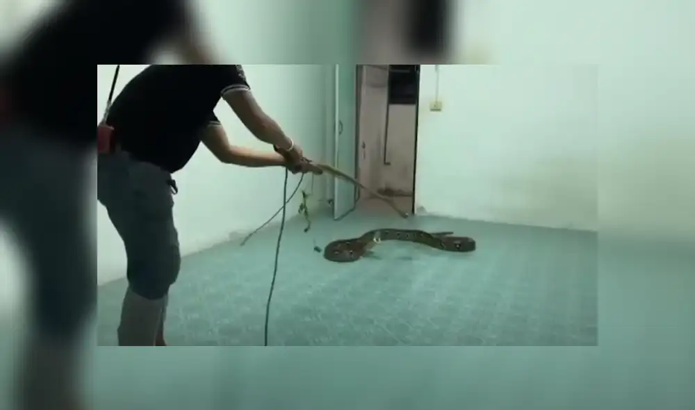 Desliza hacia la izquierda para ver las imágenes del viral de YouTube. Foto: Captura. Desliza hacia la izquierda para ver las imágenes del viral de YouTube. Foto: Captura.