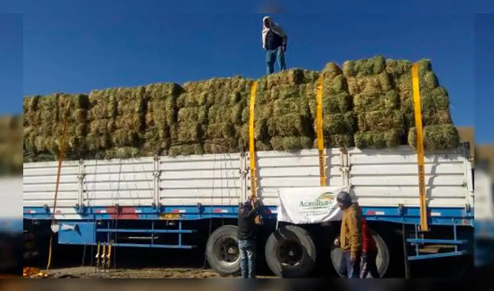 La paca de heno fue distribuida entre productores ganaderos.