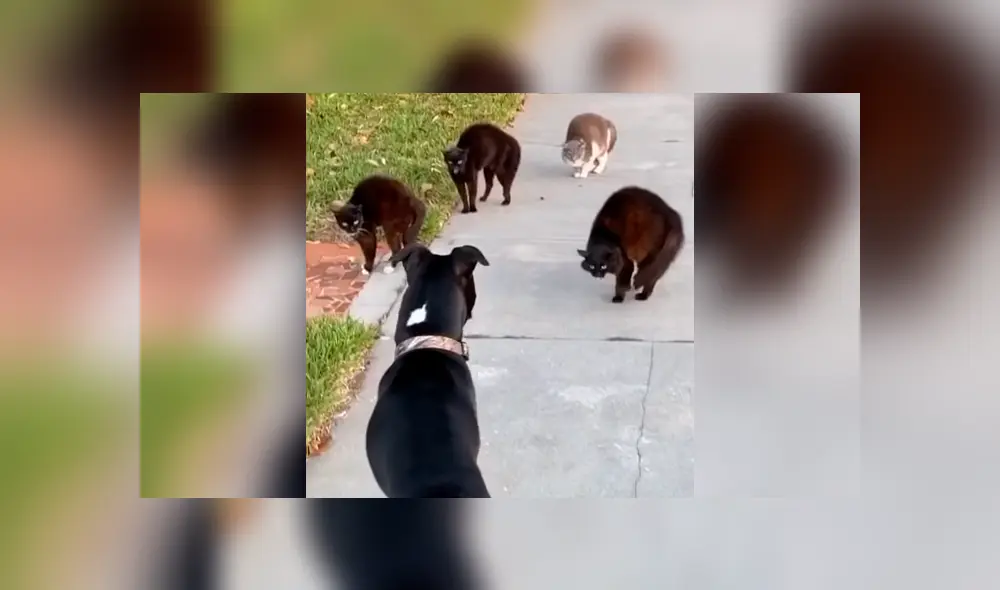 Desliza la imagen de Facebook para ver todas las fotos. Desliza la imagen de Facebook para ver todas las fotos.