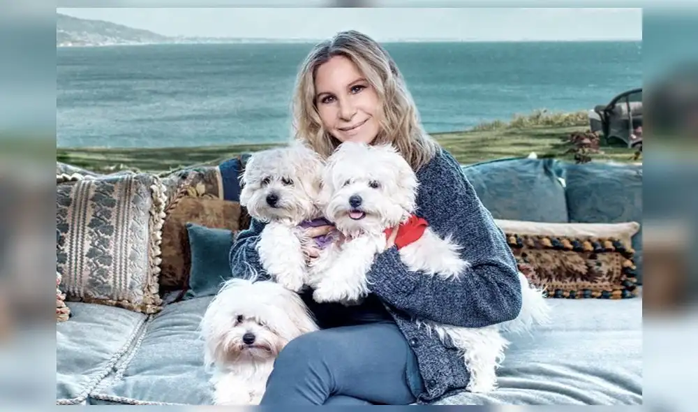 Barbra Streisand tiene a dos clones como mascotas