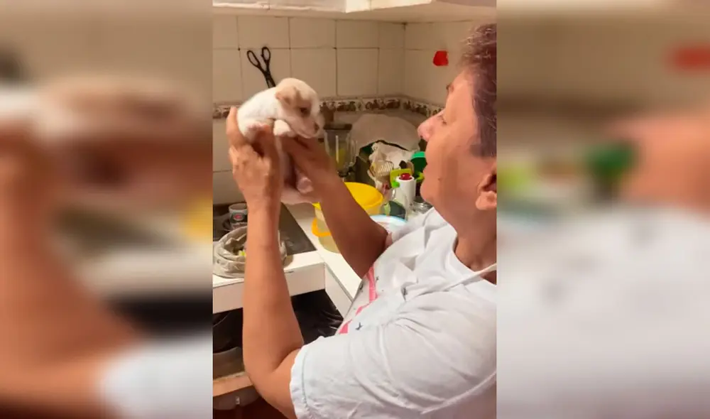 Desliza las imágenes para observar el cariñoso gesto de una anciana con la mascota de sus nietos. Foto: Captura de Facebook