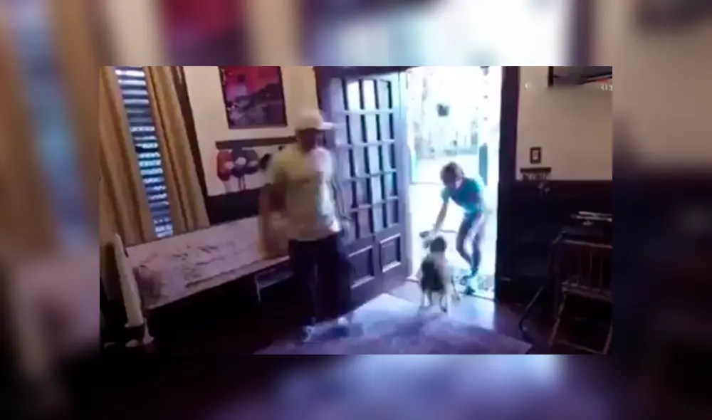 Desliza hacia la izquierda para ver el conmovedor reencuentro en Facebook de una astronauta con su perro. Desliza hacia la izquierda para ver el conmovedor reencuentro en Facebook de una astronauta con su perro.