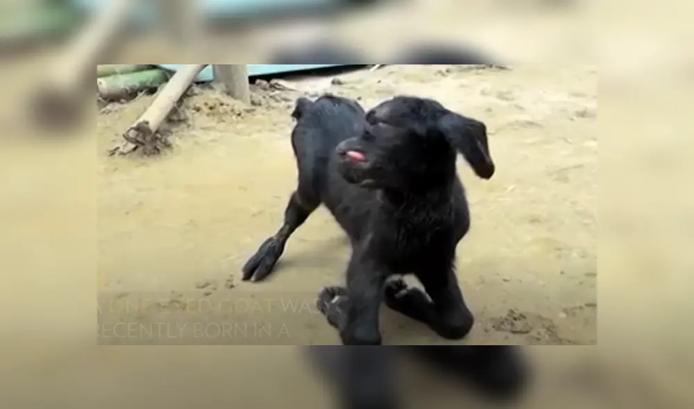 Desliza hacia la izquierda para ver las imágenes del viral de Facebook. Foto: Captura. Desliza hacia la izquierda para ver las imágenes del viral de Facebook. Foto: Captura.
