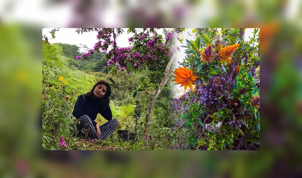 El proyecto nació de la vocación de Gardalia por la enfermería comunitaria, que tiene como objetivo ayudar a las comunidades a prevenir enfermedades y promocionar la salud. (Foto: Pronabec) El proyecto nació de la vocación de Gardalia por la enfermería comunitaria, que tiene como objetivo ayudar a las comunidades a prevenir enfermedades y promocionar la salud. (Foto: Pronabec)