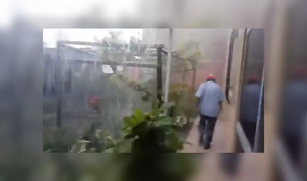 [VIDEO] Arequipa: gran alarma causa lluvia torrencial en varios distritos