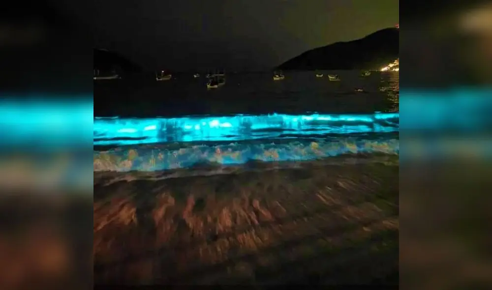 Así se vieron las aguas de Puerto Marqués gracias a la bioluminiscencia. (Foto: Twitter)