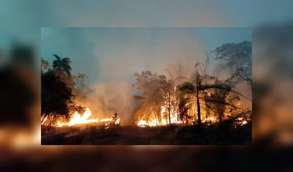 Incendio forestal en Bolivia: el fuego consume medio millón de hectáreas en Santa Cruz