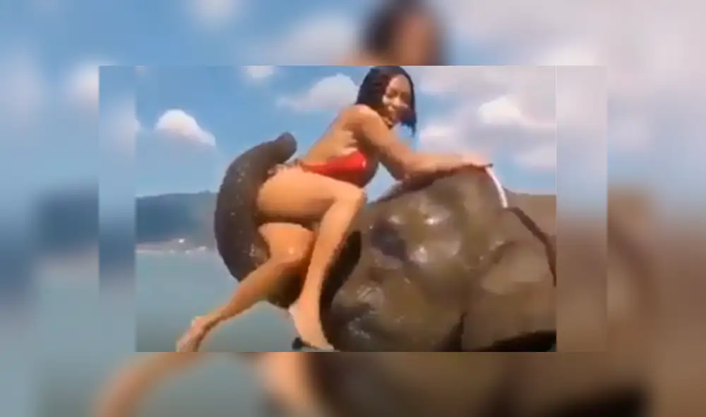 Facebook viral: Intenta tomarse foto sobre la trompa de un elefante y este la deja en ridículo [VIDEO]