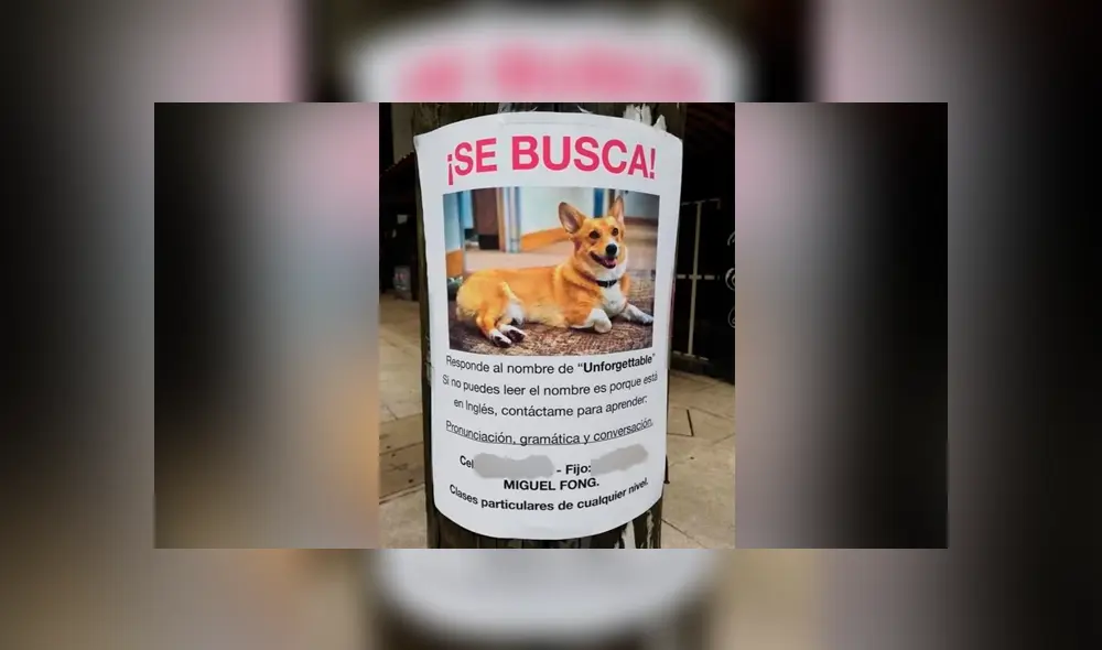 Facebook viral: docente peruano usa insólita ‘estrategia’ para ganar alumnos a su clase de inglés