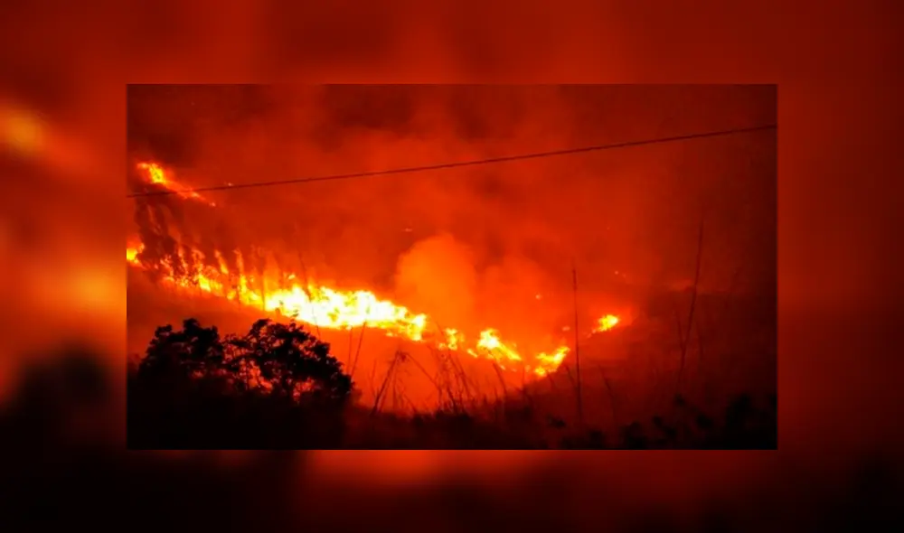 Condiciones meteorológicas favorecerían ocurrencia de incendios forestales, advierte Senamhi. Foto: Twitter COENPerú