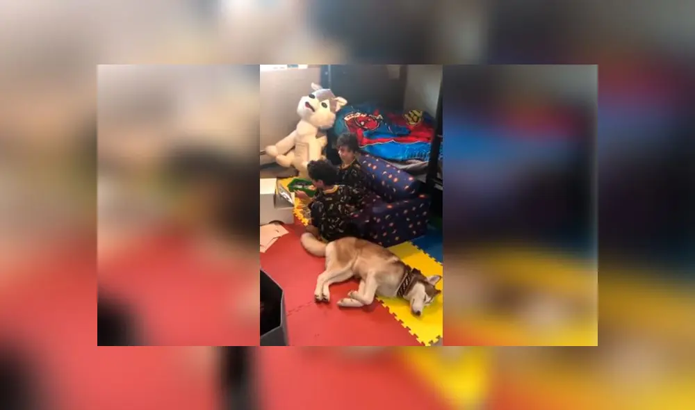 Desliza las imágenes para ver la emotiva escena que protagonizaron los hijos y la mascota de una joven mujer. Foto: RM Videos Desliza las imágenes para ver la emotiva escena que protagonizaron los hijos y la mascota de una joven mujer. Foto: RM Videos