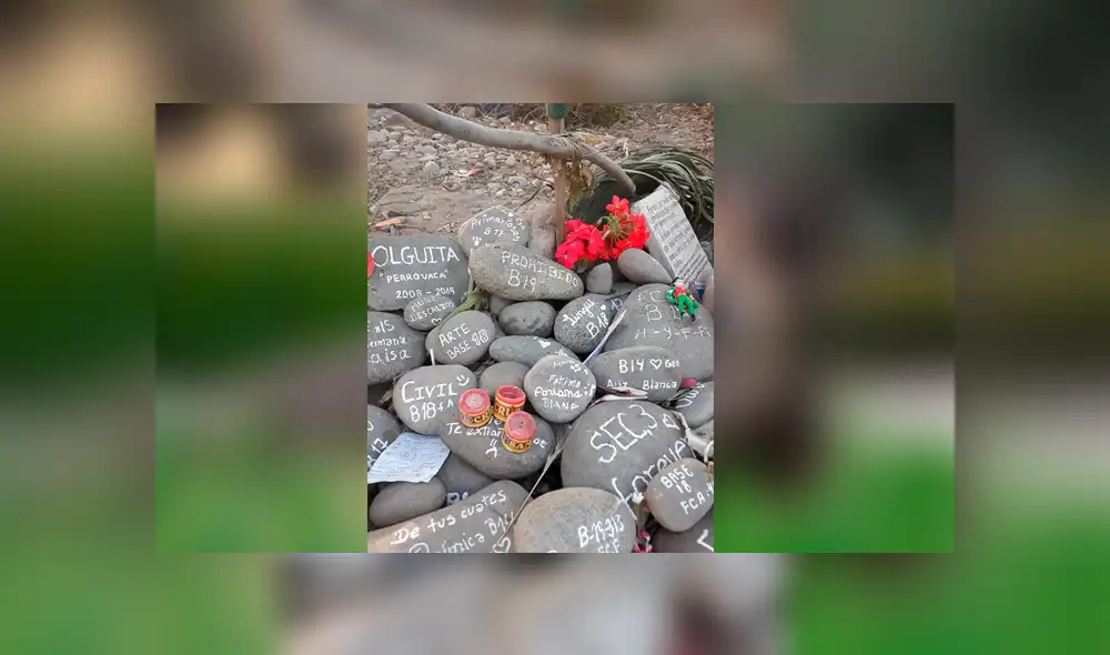 Facebook viral: decoran tumba de 'Perrovaca' con tiernos recuerdos hechos por alumnos de la UNMSM [FOTOS]