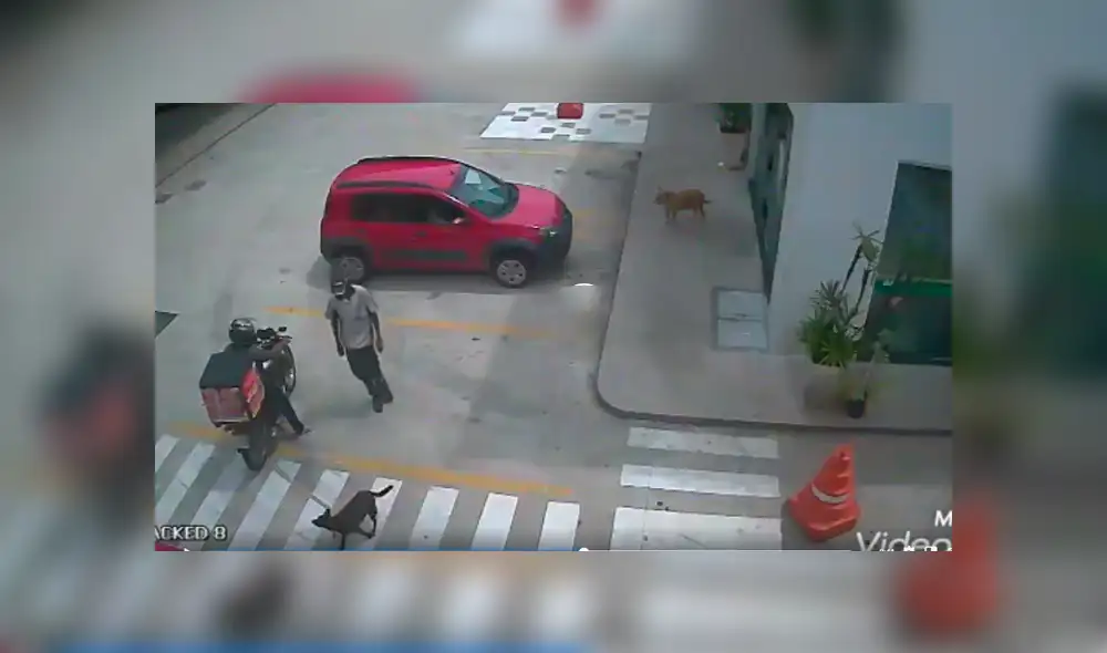 Desliza para ver el desenlace de este viral de YouTube. Foto: Captura. Desliza para ver el desenlace de este viral de YouTube. Foto: Captura.