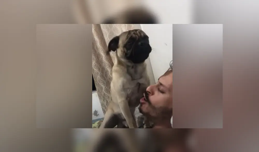 Desliza hacia la izquierda para ver las imágenes del viral de Facebook. Foto: Captura. Desliza hacia la izquierda para ver las imágenes del viral de Facebook. Foto: Captura.