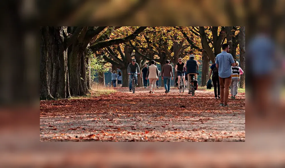 Equinoccio de otoño: ¿qué es y por qué este año comienza un día antes de lo habitual? Equinoccio de otoño: ¿qué es y por qué este año comienza un día antes de lo habitual?