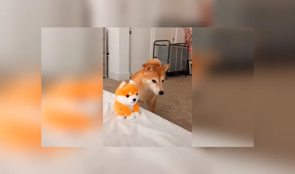 Desliza las imágenes hacia la izquierda para observar la reacción de un perro al escuchar ‘hablar’ a su nuevo juguete. Foto: Captura.