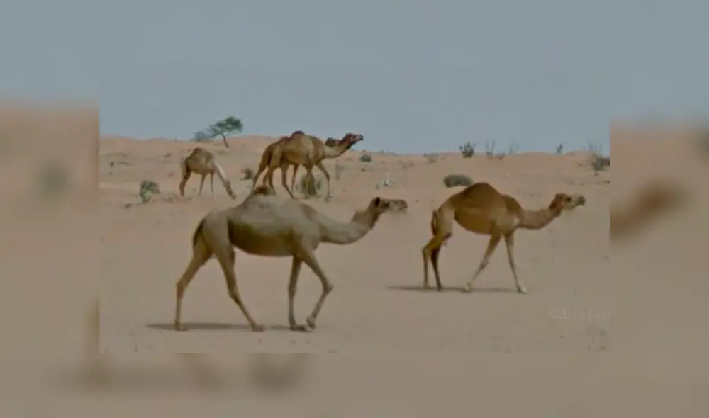 Desliza para ver las imágenes captadas por Google Maps cuando un joven realizaba un recorrido por el desierto.