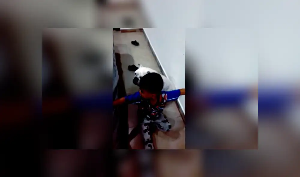 Desliza las imágenes para apreciar el comportamiento de un niño para que su madre castigue a su perro. Desliza las imágenes para apreciar el comportamiento de un niño para que su madre castigue a su perro.