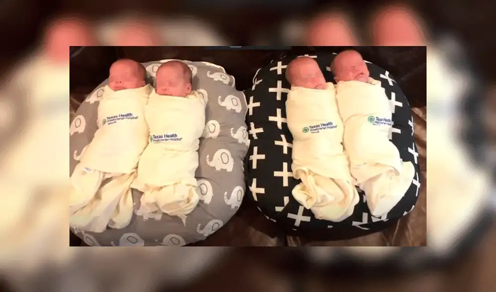 Harrison, Henry, Hudson y Hardy nacieron el 15 de marzo. Fuente: CBS.