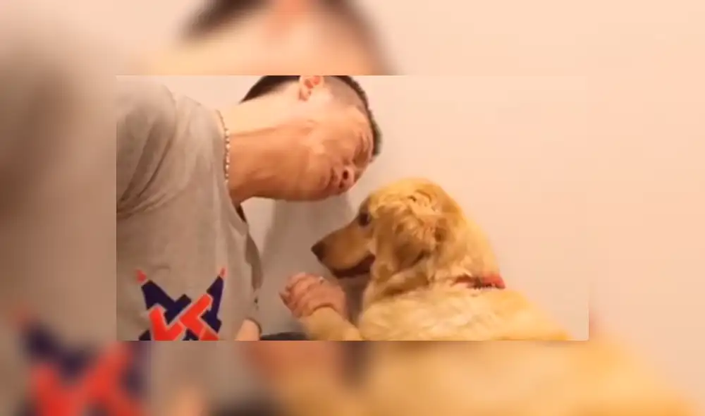 Facebook: Hombre reta a su perro a un curioso 'duelo de fuerza' [VIDEO]