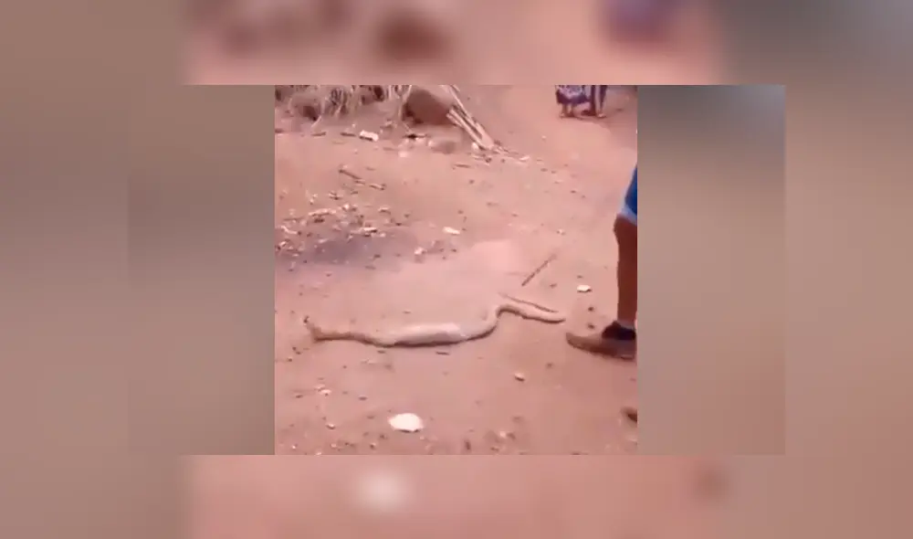 Desliza para ver los momentos más impactantes del video que se hizo viral en Facebook.