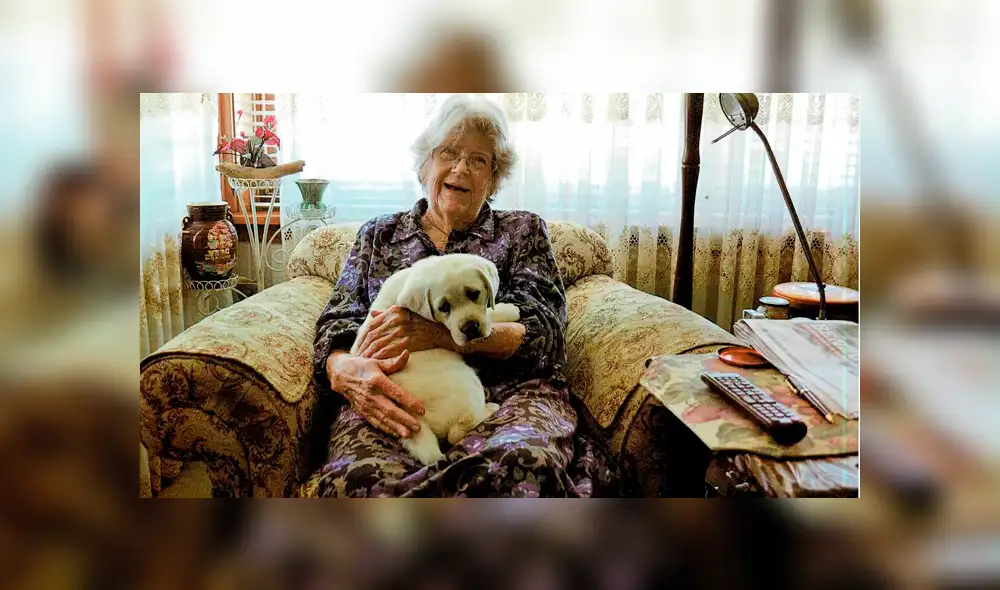 Sheila falleció a los 87 años y dejó 9 millones de dólares a distintas organizaciones benéficas, entre ellas las que se dedican a la protección de animales. (Foto: New Castle Herald) Sheila falleció a los 87 años y dejó 9 millones de dólares a distintas organizaciones benéficas, entre ellas las que se dedican a la protección de animales. (Foto: New Castle Herald)