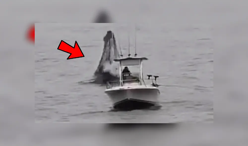 YouTube viral: Pescador queda en shock al ver que enorme criatura surge del océano 