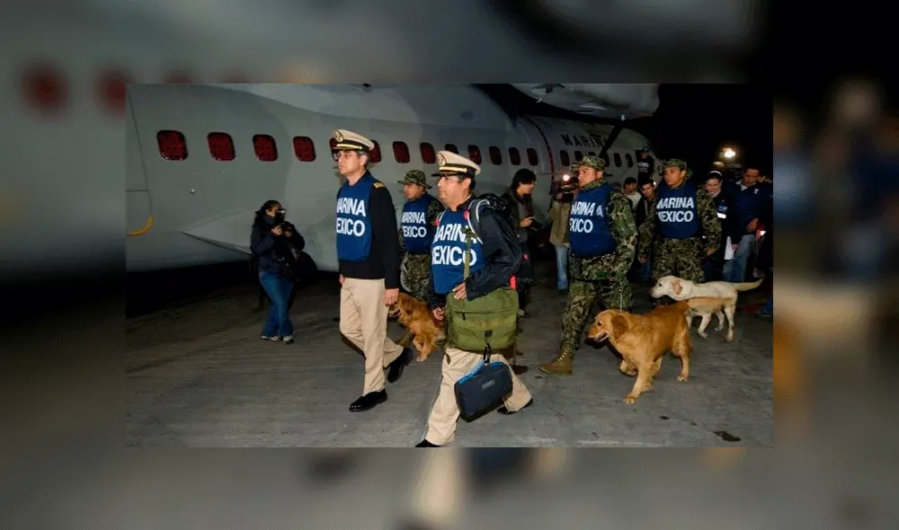 México: perros de rescate