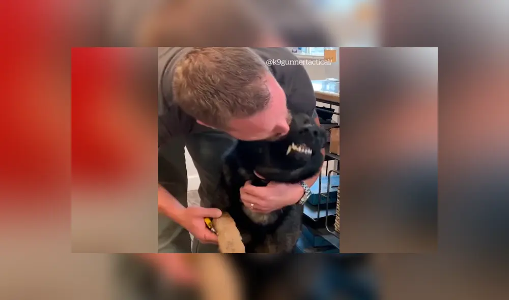 Desliza para ver los momentos más divertidos del video que se hizo viral en Facebook. Desliza para ver los momentos más divertidos del video que se hizo viral en Facebook.