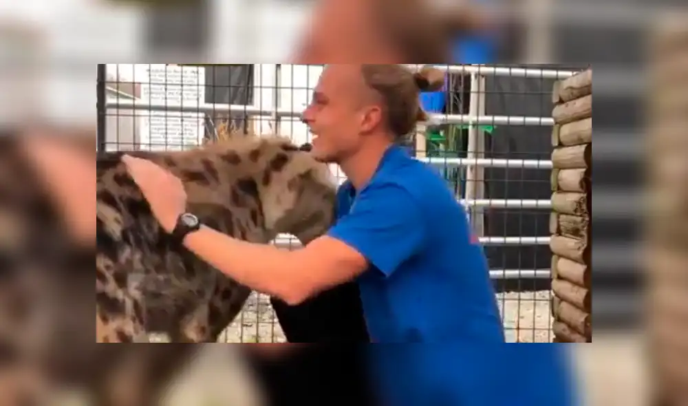 Facebook viral: joven tiene conmovedor reencuentro con feroz hiena que cuidó cuando era un bebé [VIDEO]