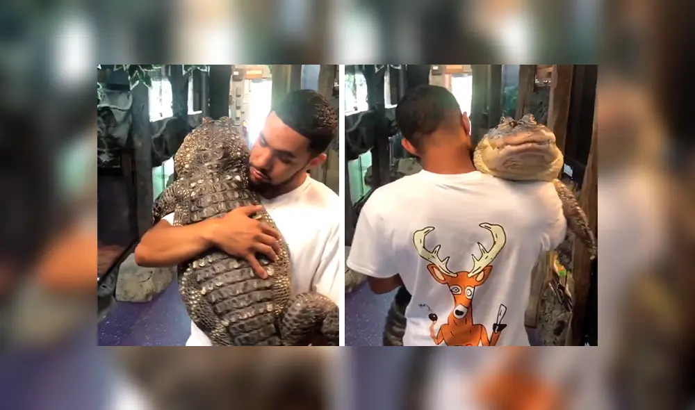 En YouTube, un joven no tuvo temor en cargar un enorme cocodrilo y para su buena suerte no sufrió un ataque.