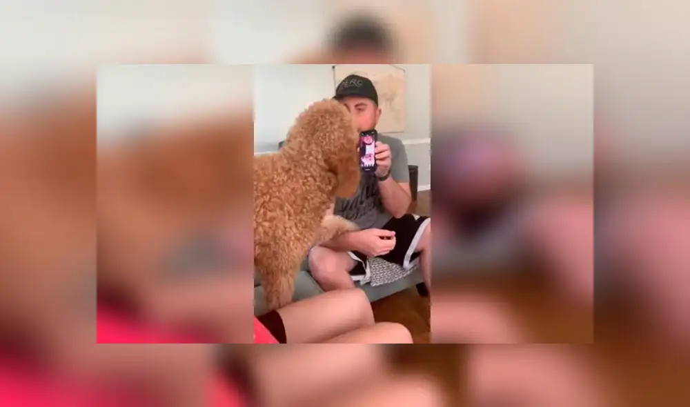 Desliza las imágenes para ver la emotiva reacción que tuvo un perro al escuchar la voz de sus dueños quienes fueron puestos en cuarentena. Foto: RM Videos Desliza las imágenes para ver la emotiva reacción que tuvo un perro al escuchar la voz de sus dueños quienes fueron puestos en cuarentena. Foto: RM Videos