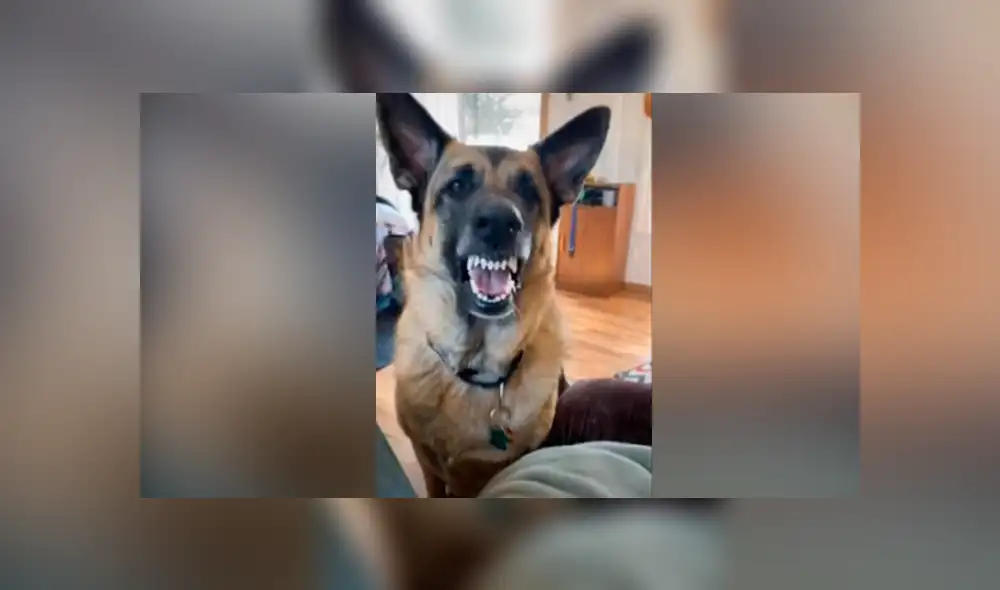 Desliza hacia la izquierda para ver las imágenes del viral de YouTube. Foto: Captura. Desliza hacia la izquierda para ver las imágenes del viral de YouTube. Foto: Captura.