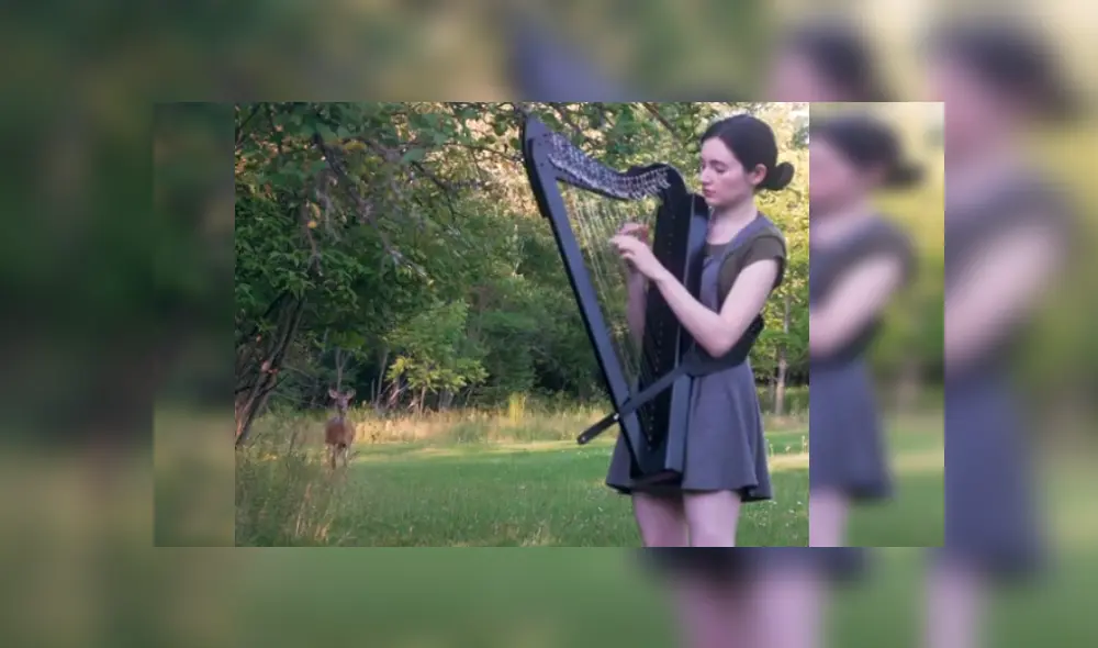 Desliza las imágenes para ver más sobre esta joven que fue sorprendida por un ciervo en pleno 'concierto'. (Foto: captura)