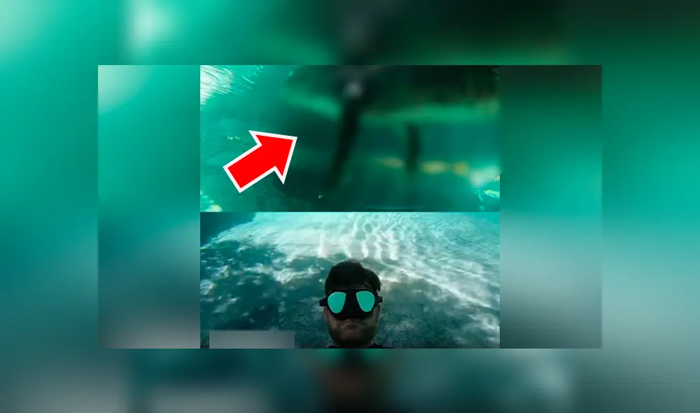 Un hombre grabó en un video viral de YouTube el instante en que se topó con un peligroso reptil, tras sumergirse a un misterioso lago repleto de depredadores. Un hombre grabó en un video viral de YouTube el instante en que se topó con un peligroso reptil, tras sumergirse a un misterioso lago repleto de depredadores.