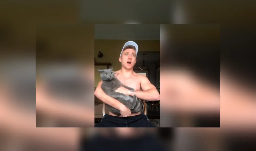 Desliza las imágenes hacia la izquierda para conocer la reacción de un travieso gato al escuchar el canto de su dueño.