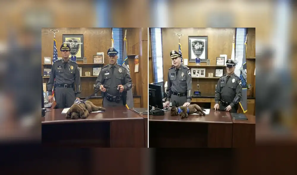 Desliza para ver los detalles del video viral publicado en YouTube. Foto: Captura. Desliza para ver los detalles del video viral publicado en YouTube. Foto: Captura.