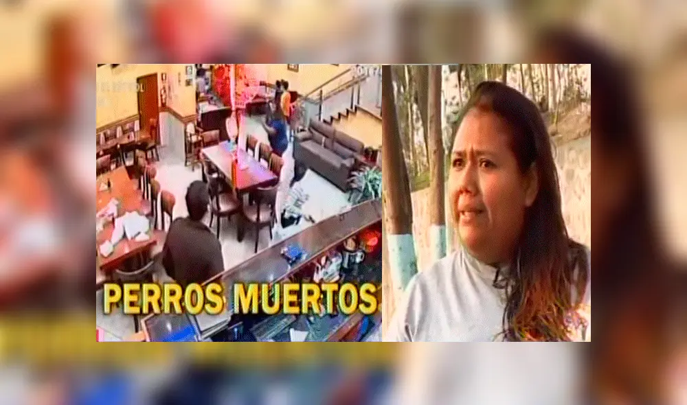 Chifa Asia: la versión de la animalista que aseguró que ofrecían carne de perro [VIDEO]