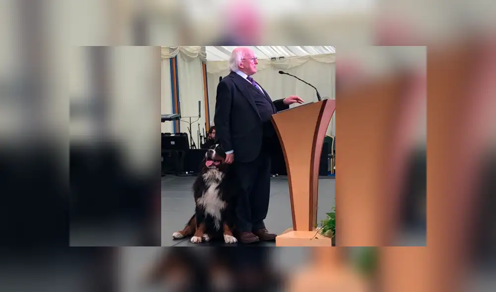 El perro del mandatario ingresó a la habitación en plena reunión. Foto: