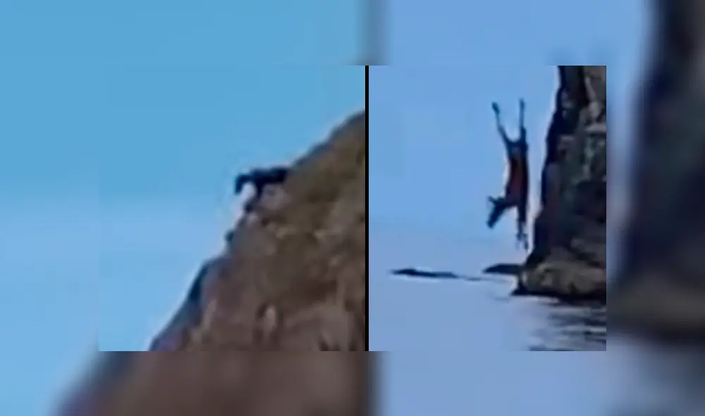 El alce tomó la radical decisión de lanzarse al acantilado frente a la mirada de unos jóvenes. Foto: captura El alce tomó la radical decisión de lanzarse al acantilado frente a la mirada de unos jóvenes. Foto: captura