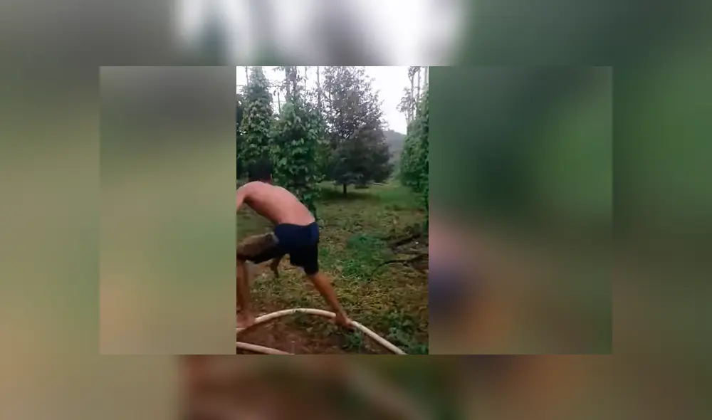 Vía YouTube. Hombre se enfrasco en un impactante enfrentamiento con la enorme serpiente mientras que esta intentaba atacarlo