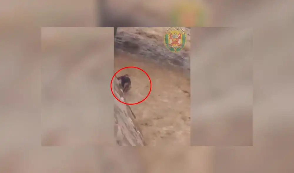 Dos suboficiales rescatan a perrito atrapado en río Moquegua. Créditos: Captura. Dos suboficiales rescatan a perrito atrapado en río Moquegua. Créditos: Captura.