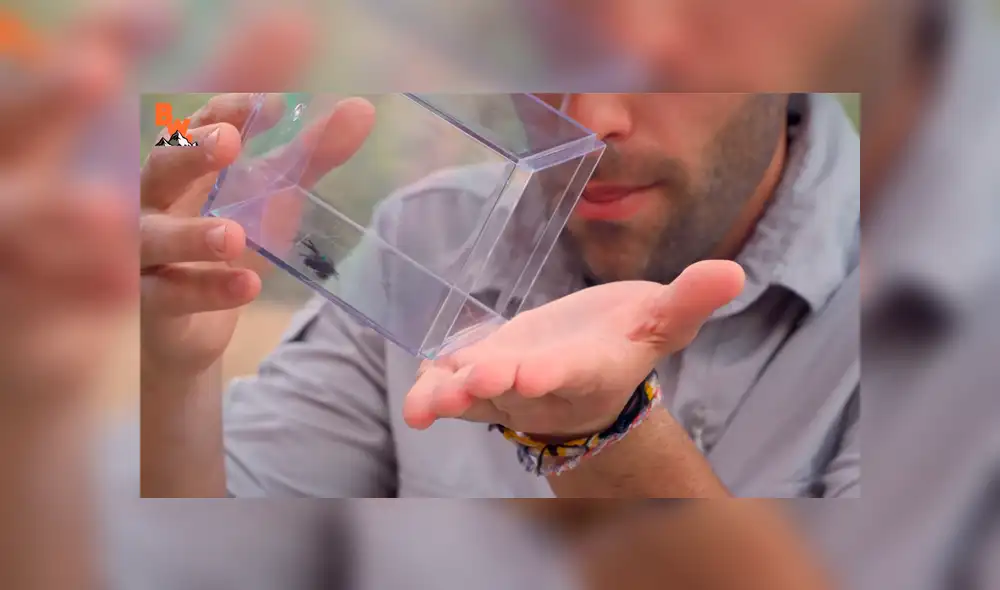 Desliza para ver los momentos más impactantes del aterrador video.