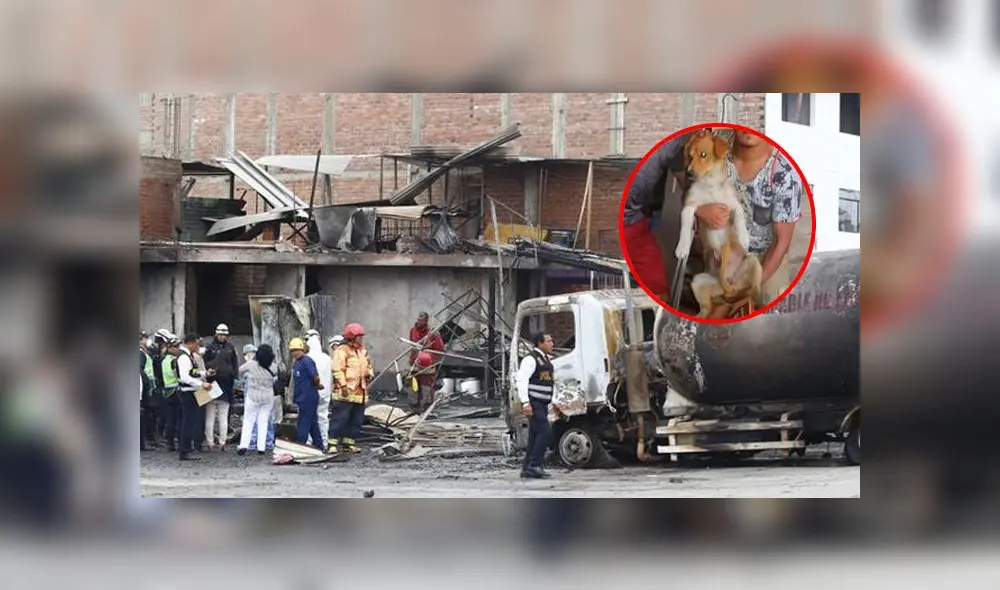 Esta muerte se suma a las otras 16 reportadas hasta el momento.