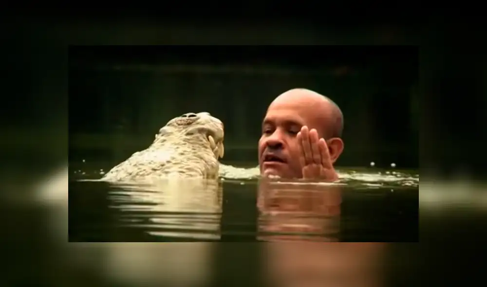 YouTube viral: valiente hombre intenta nadar junto a cocodrilo, sin imaginar la feroz reacción del depredador YouTube viral: valiente hombre intenta nadar junto a cocodrilo, sin imaginar la feroz reacción del depredador