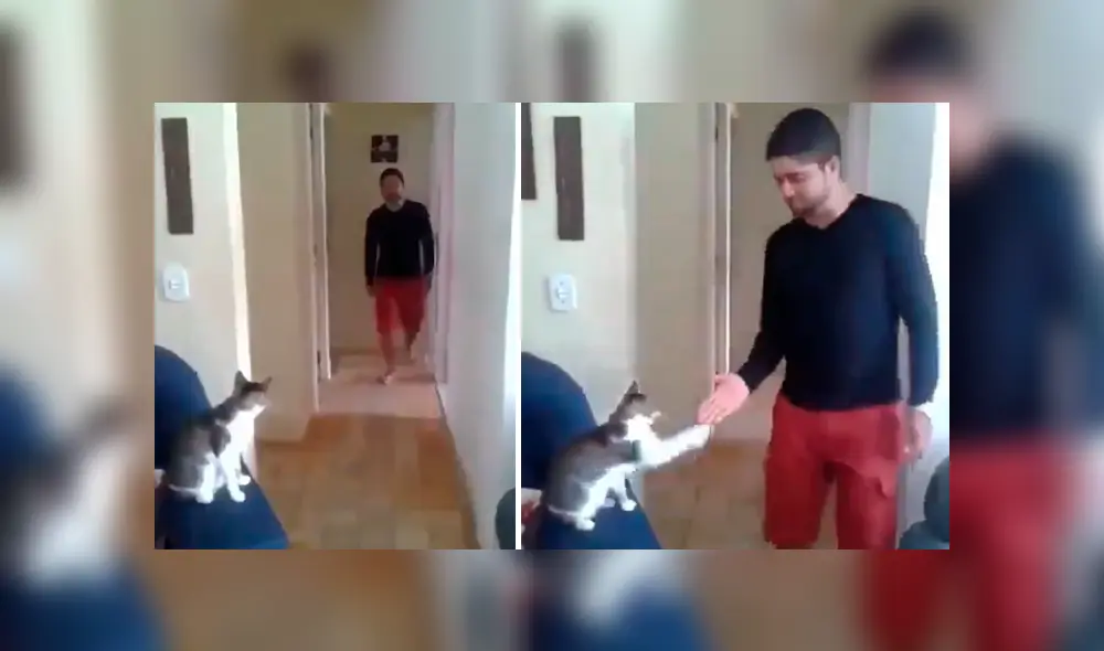 Desliza hacia la izquierda para ver más del video viral de Facebook Desliza hacia la izquierda para ver más del video viral de Facebook