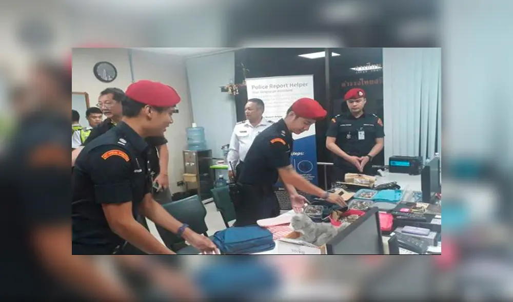 Autoridades capturan a pareja que transportaba tortugas en bolsas de plástico 