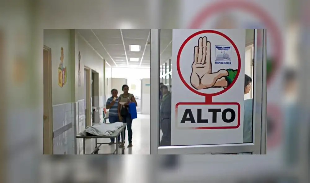 El virus del dengue se transmite pincipalmente por mosquitos de la especie 'Aedes Aegypti'. (Foto: DW)